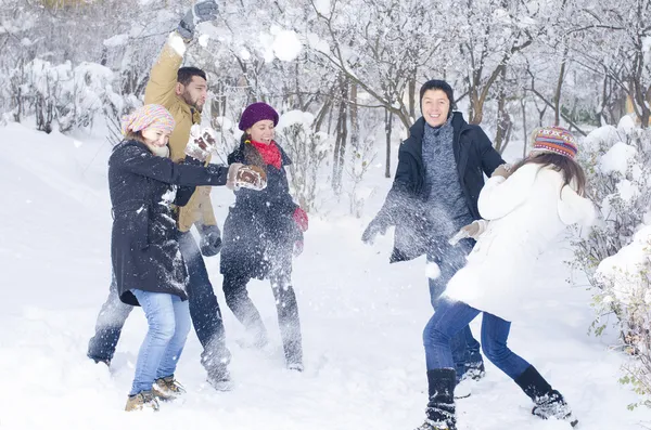 在雪中玩耍 — 图库照片