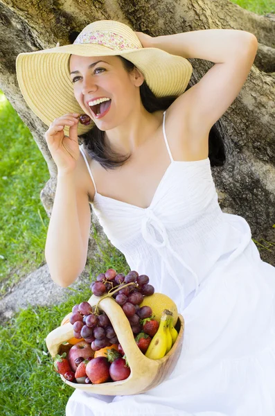 Picknick med frukt — Stockfoto