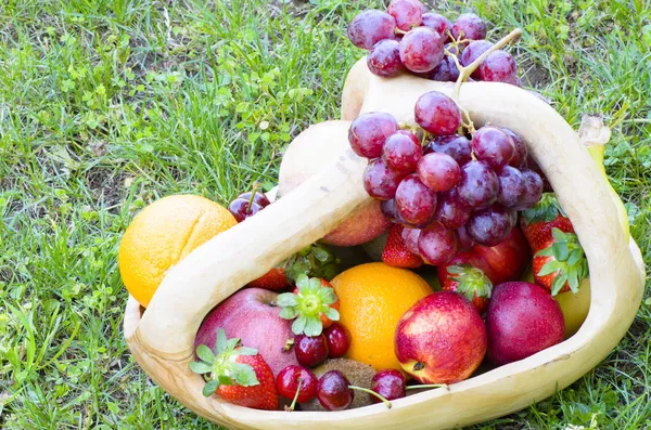 Meyve ile piknik — Stok fotoğraf