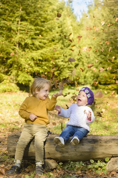 Niños en bosque otoñal — Foto de Stock