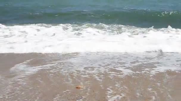 Vagues océaniques