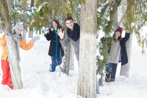 Spielen im Schnee — Stockfoto