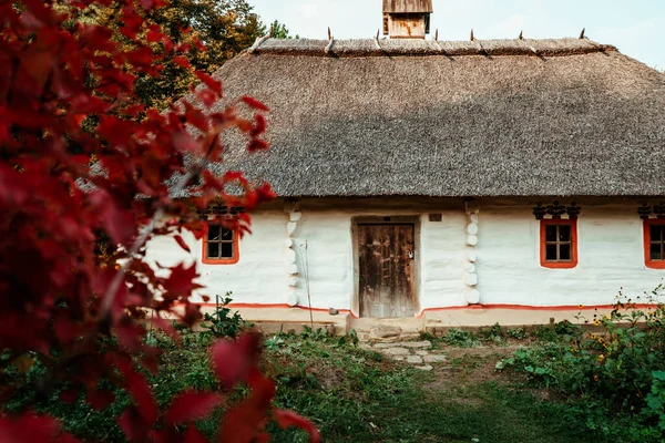 近くに古代の歴史的なウクライナの家は ビブラムや花を成長させます キエフのピロゴヴォ野外博物館 — ストック写真