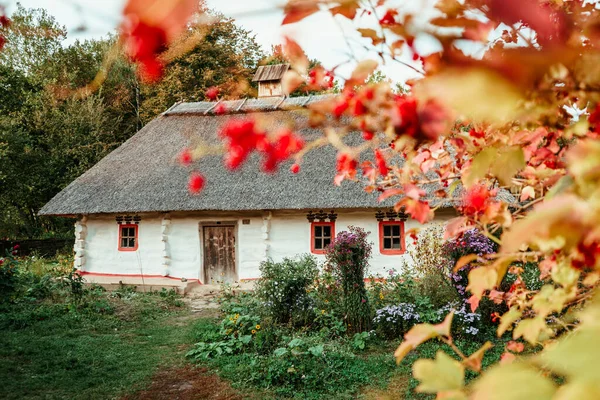 Ancienne Maison Ukrainienne Historique Près Laquelle Pousse Viburnum Fleurs Musée — Photo