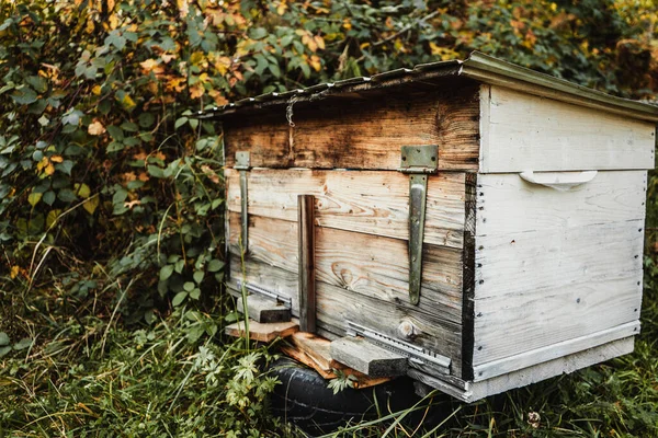 Wooden Colored Hive Stand Apiary Garden — Stock Photo, Image