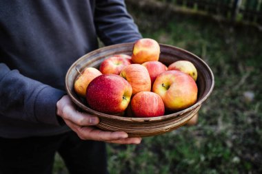 Bir kase taze elma tutan bir adam. Meyve sepeti.