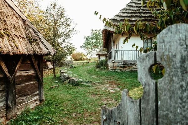 Двор Старинного Сельского Исторического Украинского Белого Дома Коричневым Деревянным Сараем — стоковое фото