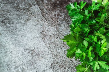 Gri arka planda yeşil kokulu maydanoz. Mesaj için yer. Üst görünüm