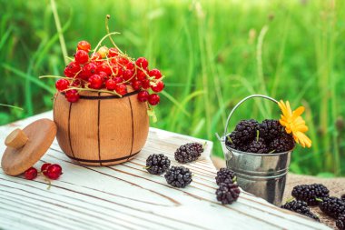 red currant in a wooden cup and black mulberry in a metal bucket on a white board. Summer berries on a green natural background