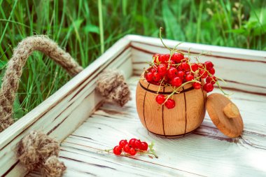 bright fresh juicy red currant berries in a wooden pot on a white wooden tray in the garden