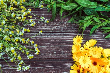fresh aromatic medicinal herbs, mint, chamomile and calendula flowers on a brown wooden background 3