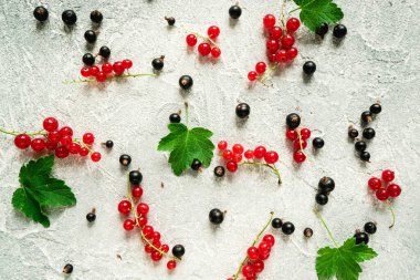 Tarafsız gri beton zemin üzerinde siyah ve kırmızı frenk üzümü, metin, reklam veya tasarım için boşluk