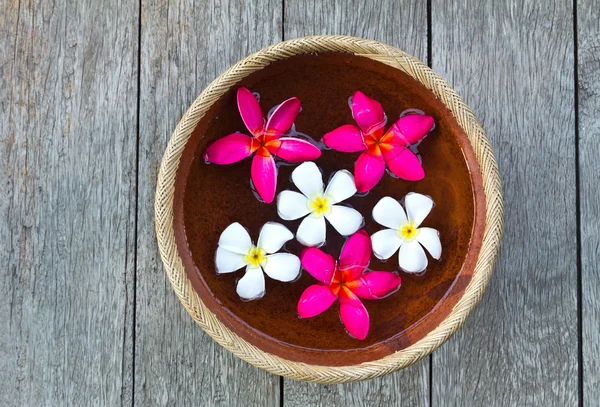 Frangipani flower floating in the ancient bowl — Stock Photo, Image