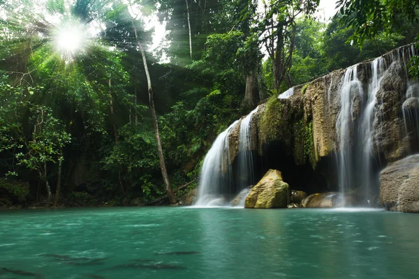 tropikal orman şelale