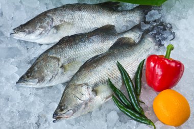 Fresh Seabass and vegetablechilled on ice clipart