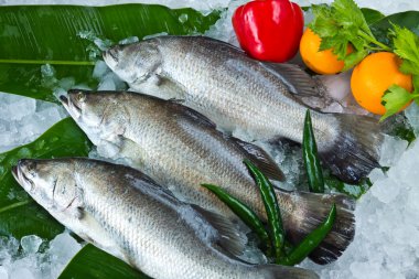 Fresh Seabass and vegetable chilled on ice clipart
