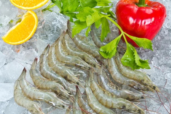 taze karides ve sebze buzda soğutulmuş
