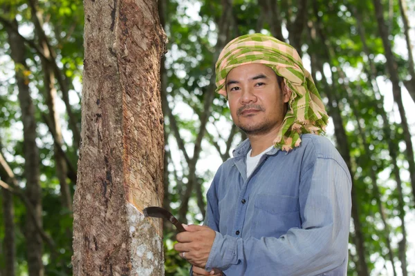 Çift Lastik çiftçi