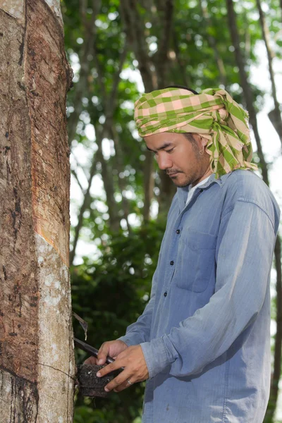 Çift Lastik çiftçi