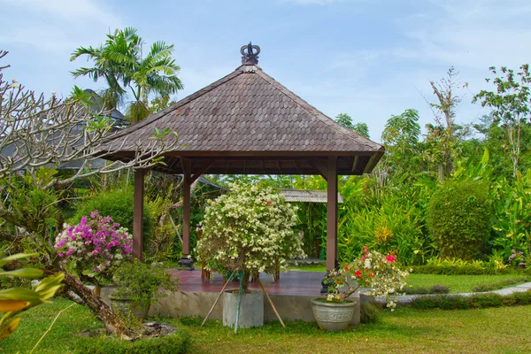 Arbor in giardino di orchidee tra piante e cespugli . — Foto Stock