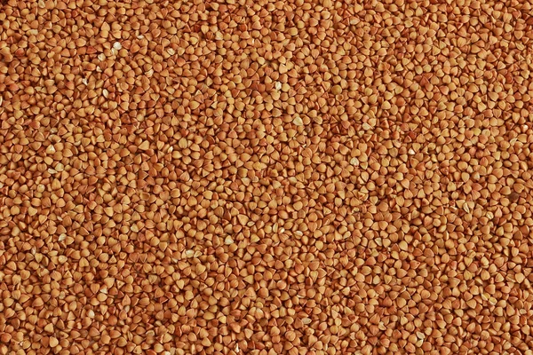 Background from buckwheat — Stock Photo, Image