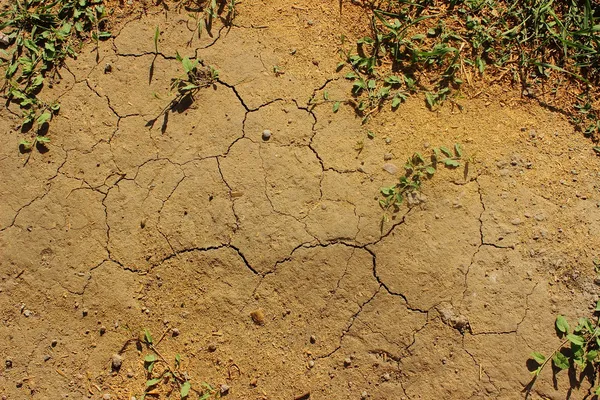 Cracks in the earth — Stock Photo, Image