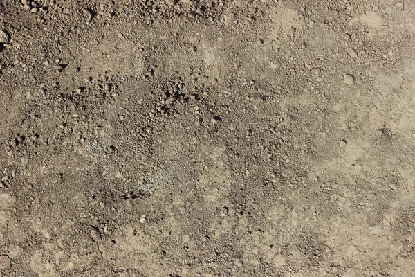 Beton duvar