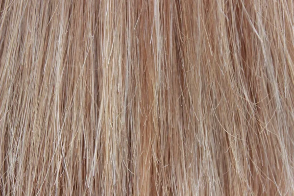Włosy jako tło — Zdjęcie stockowe