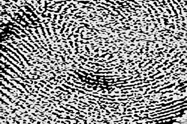 Fingerprint — Stock Photo, Image