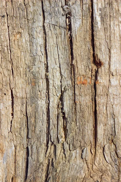 Tablero viejo como fondo — Foto de Stock