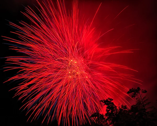 Beautiful fireworks at night — Stock Photo, Image