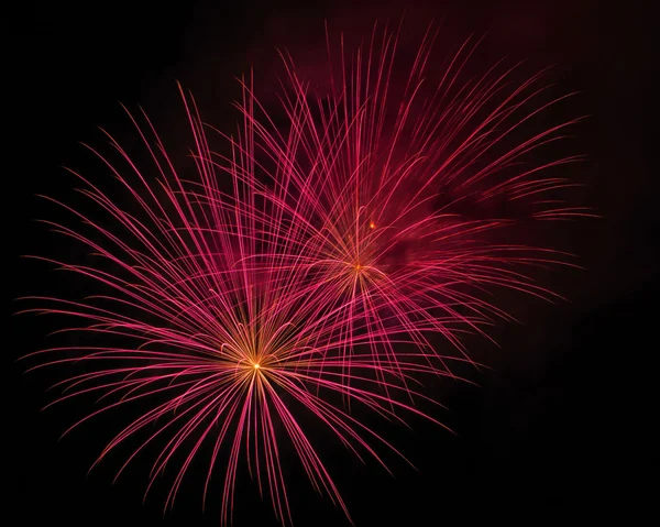 Beautiful fireworks at night — Stock Photo, Image