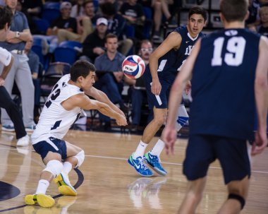 NCAA Volleyball: BYU vs. UCI clipart