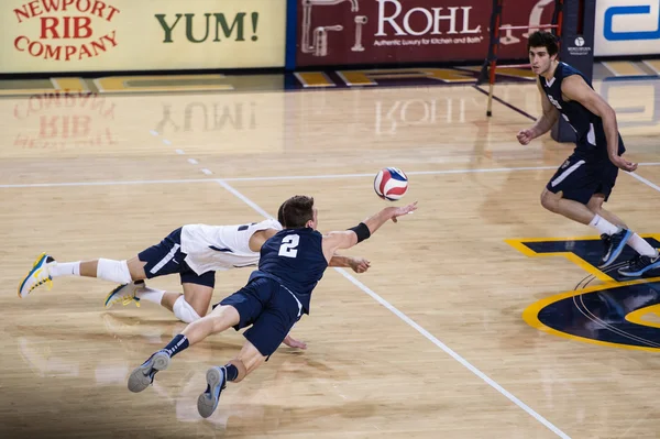 Ncaa volleyball: byu vs uci lizenzfreie Stockfotos