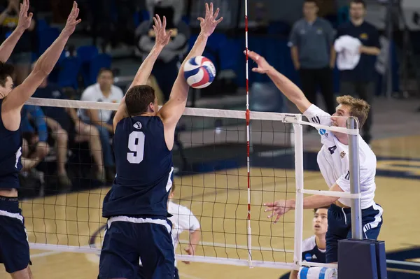 NCAA volleyboll: byu vs uci Stockbild