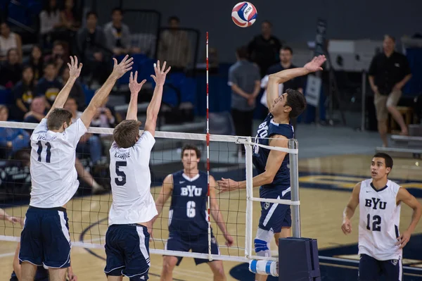 Voleibol da NCAA: BYU vs. UCI Imagens Royalty-Free