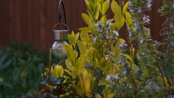 Opknoping zonne-lantaarn bewegen op wind in de tuin. Selectieve focus, wazige planten aan de voorzijde, tuin- en duurzaamheidsconcept. — Stockvideo