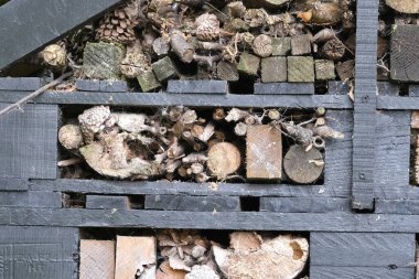 Böcek evi yakın plan, seçici odaklanma. İngiliz bahçesindeki böcek oteli. İngiltere 'de doğal malzemelerden yapılmış ahşap dantelli ev. DIY el yapımı proje