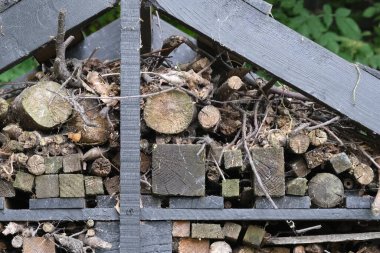 Böcek evi yakın plan, seçici odaklanma. İngiliz bahçesindeki böcek oteli. İngiltere 'de doğal malzemelerden yapılmış ahşap dantelli ev. DIY el yapımı proje