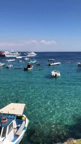 Summer Landscapes Levanzo Sicily Italy Holidays Sicily Clear Water Floating — Video