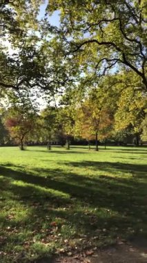 Greenpark İstasyonu, Londra 'daki sonbahar parkı manzarası. Sonbahar ağaçları manzarası. Sonbahar sabahının erken saatlerinde güneş ışığı güneşli bir günde