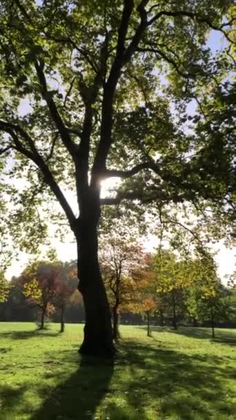 Paisaje Del Parque Otoño Greenpark Station Londres Árboles Otoño Paisaje — Vídeos de Stock