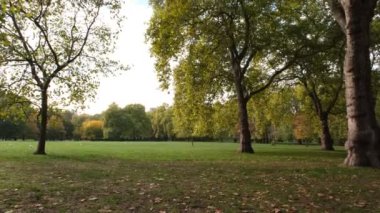 Greenpark İstasyonu, Londra 'daki sonbahar parkı manzarası. Sonbahar ağaçları manzarası. Sonbahar sabahının erken saatlerinde güneş ışığı güneşli bir günde
