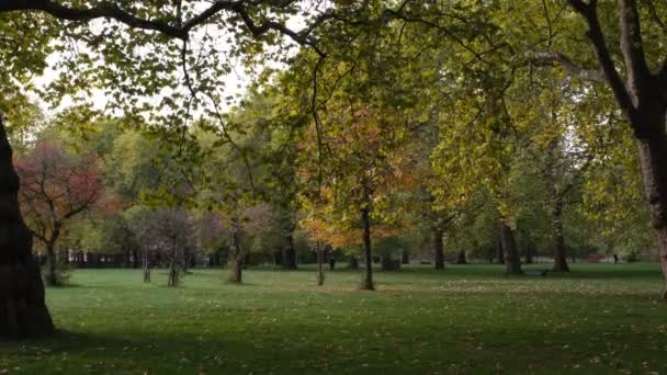 伦敦绿园车站的秋季公园景观 秋天的树木景观 初秋的早晨阳光灿烂 — 图库视频影像