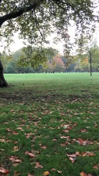 Autumn Park Landscape Greenpark Station London Autumn Trees Landscape Early — Stock Video