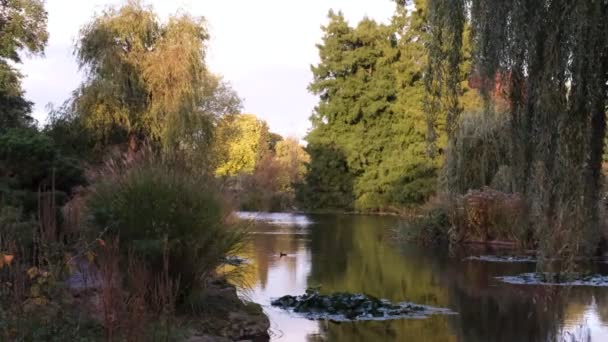 Herbstlandschaft Mit Farbigen Bäumen Und Spiegelung Teich London Regents Park — Stockvideo