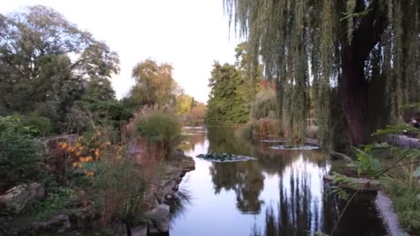 Осенний Пейзаж Цветными Деревьями Отражением Пруду Лондонский Риджентс Парк — стоковое видео
