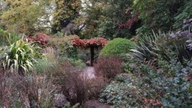 Southwark Park Londra, Ada Salter Gül Bahçesi. Kemerli Sonbahar İngiliz Parkı