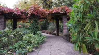 Southwark Park Londra, Ada Salter Gül Bahçesi. Kemerli Sonbahar İngiliz Parkı