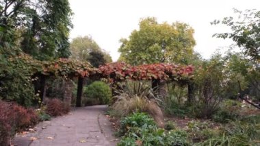 Southwark Park Londra, Ada Salter Gül Bahçesi. Kemerli Sonbahar İngiliz Parkı